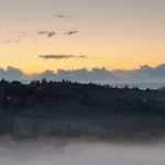Oasirelax -camera Con Vista A Un Passo Da Torino Pavarolo