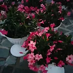 Apartamento Oasirelax -camera Con Vista A Un Passo Da Torino *