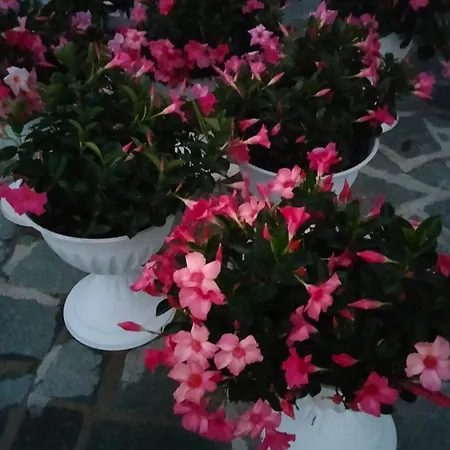 Daire Oasirelax -camera Con Vista A Un Passo Da Torino *