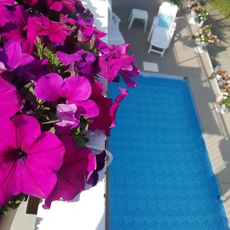 Daire Oasirelax -camera Con Vista A Un Passo Da Torino Pavarolo