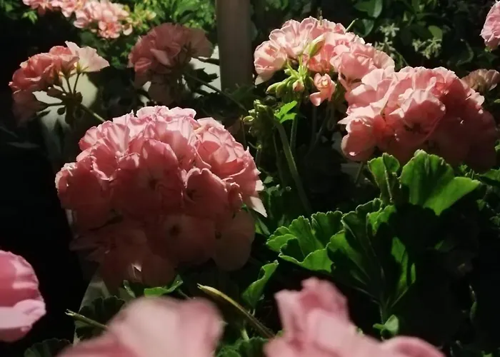 Oasirelax -camera Con Vista A Un Passo Da Torino Apartmán Pavarolo