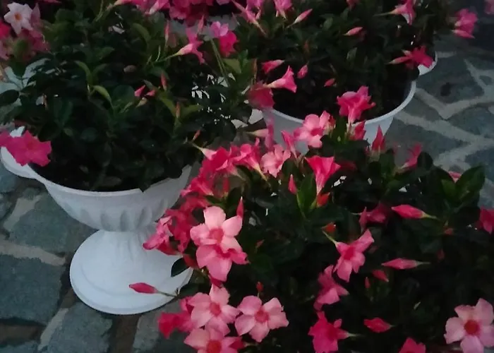 Apartmán Oasirelax -camera Con Vista A Un Passo Da Torino *